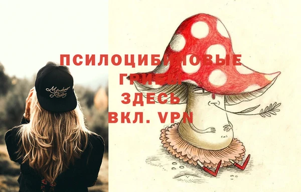 метадон Грязи