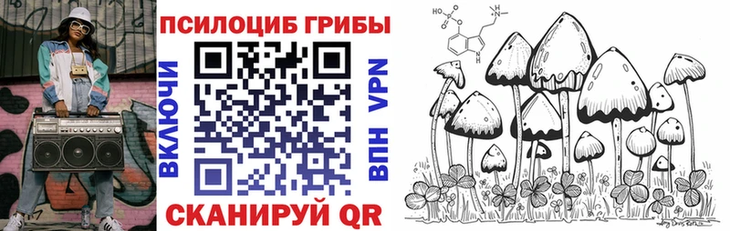 хочу наркоту  Петровск  Псилоцибиновые грибы Psilocybe 
