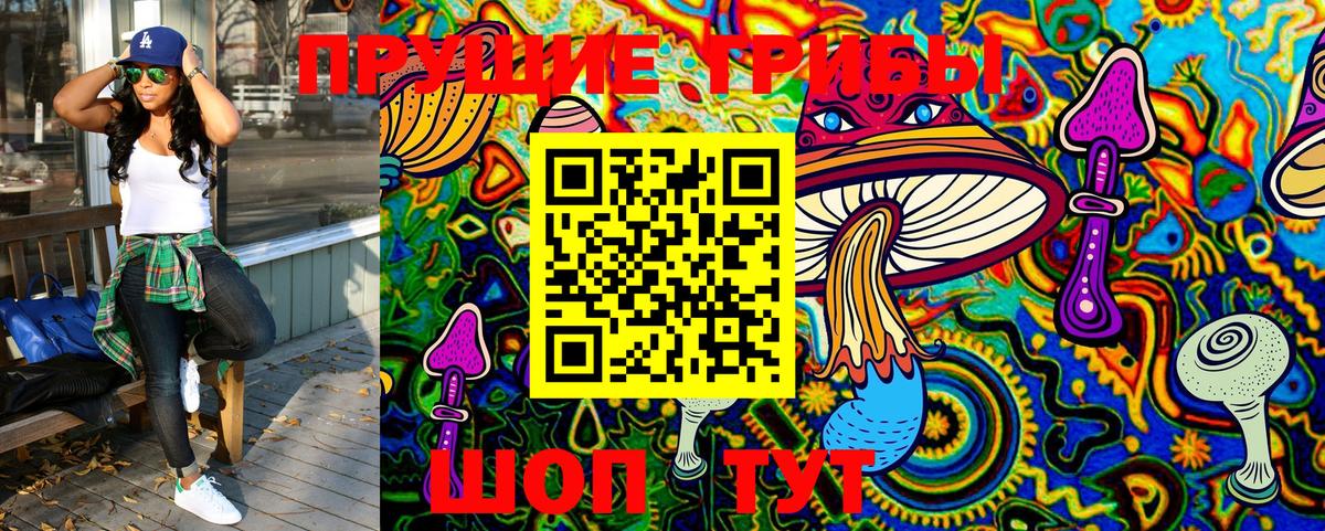 Галлюциногенные грибы GOLDEN TEACHER Петровск