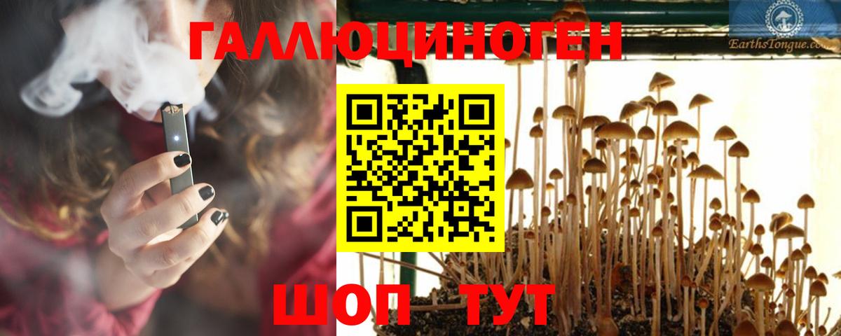Псилоцибиновые грибы Cubensis  Псилоцибиновые грибы мухоморы  где можно купить   Вход с VPN  Петровск 
