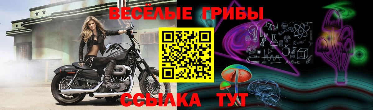 МДМА  АМФЕТАМИН кристаллы  Каннабис  МЕФ кристаллы  Петровск  ГАШИШ  Вход с VPN 